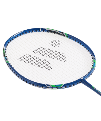 Набор для бадминтона Fusiontec 770K, 2 ракетки, синий/зеленый